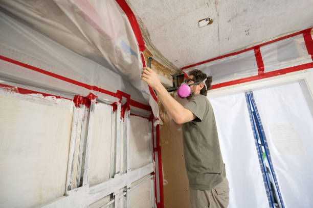 Best Mold Prevention Services  in Shell Valley, ND